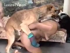 Dog prepared to penetrate the ass of his owner